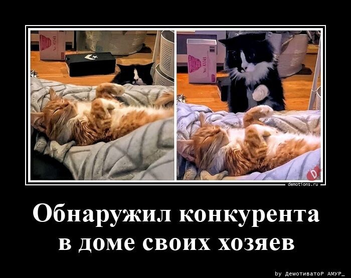 Демотиваторов пост: "Обнаружил конкурента…" (12 фото)