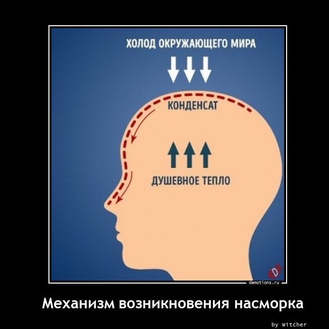 Демотиваторы на Бугаге: "Механизм возникновения насморка" (17 фото)