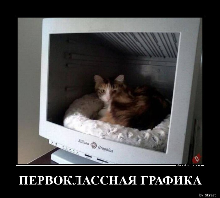 Демотиваторы дня: Первоклассная графика… (15 фото)