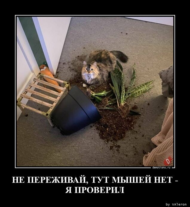 Демотиваторы на Бугаге: "Я с Лёшей был…" (13 шт)