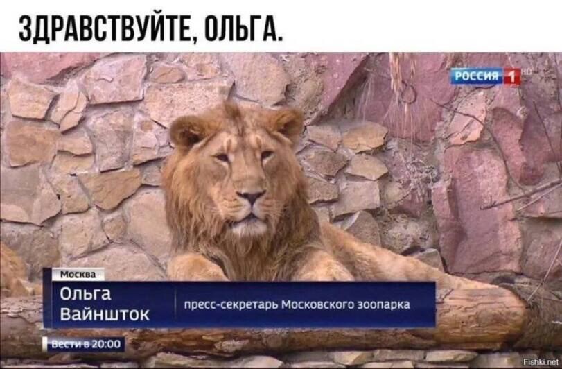Мемы на любой вкус: "Здравствуйте, Ольга!" (24 фото)