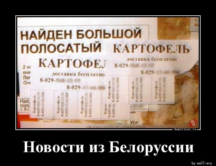 Демотиваторы-приколы: "Новости из Белоруссии" (15 фото)