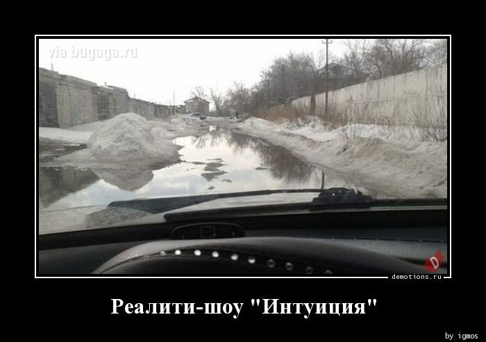 Смешные демотиваторы: "Ралити-шоу "Интуиция" (17 фото)
