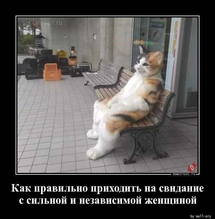 Демотиваторы в начале недели: "Как правильно приходить на свидание…" (14 фото)