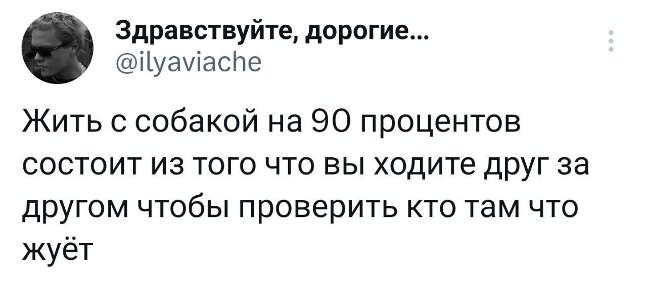 Прикольные твиты, которые вызовут улыбку (23 фото)
