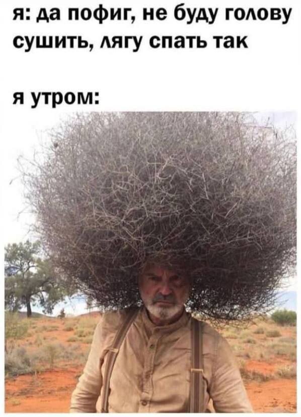 Свежий сборник мемов: "Школьные учителя были правы…" (27 фото)