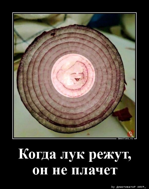Демотиваторы в начале недели: "Когда споришь с девушкой…" (14 фото)