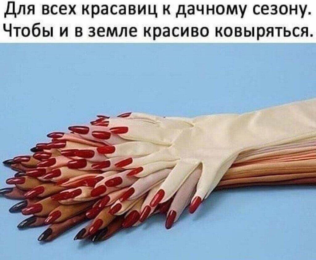 Прикольные мемы: "Для всех красавиц к дачному сезону" (16 фото)