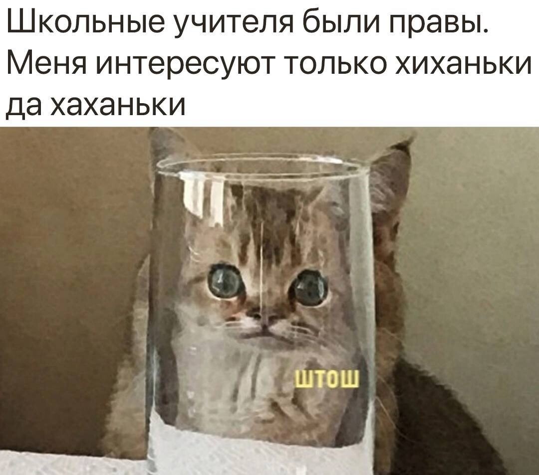 Свежий сборник мемов: "Школьные учителя были правы…" (27 фото)