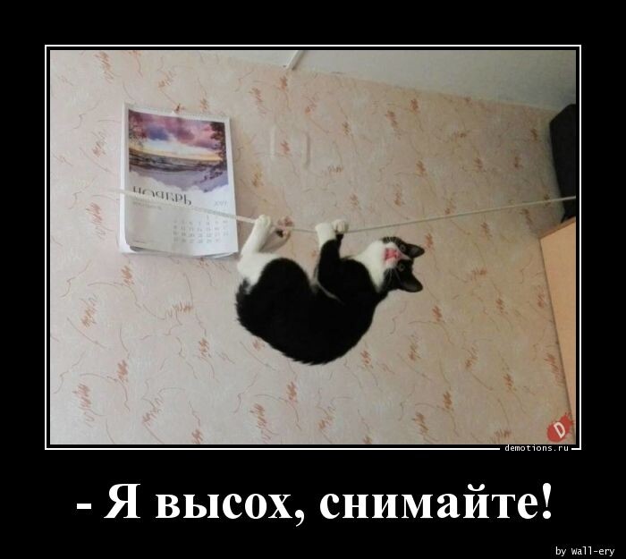 Прикольные демотиваторы в середине недели: "Я высох, снимайте!" (13 фото)