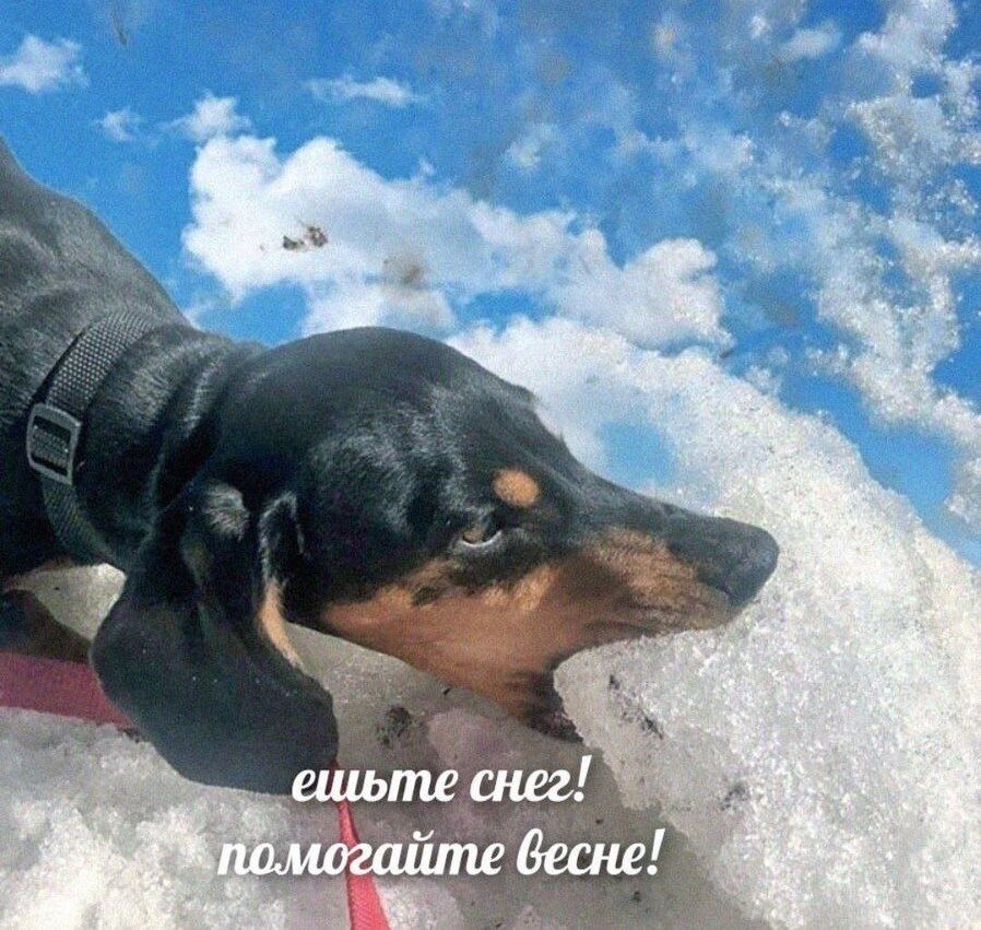 Свежие мемы для настроения: про ЗОЖ, про весну, про жизнь (18 фото)
