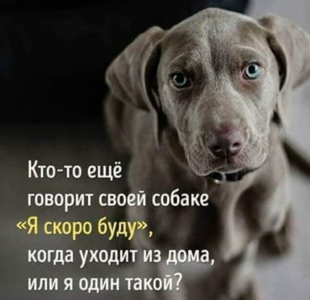 Прикольные мемы про похудение, карты Татаро, экстрим и другое (20 фото)