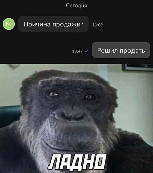 Пост с мемами: "Ну и неделька была, да?" (18 фото)