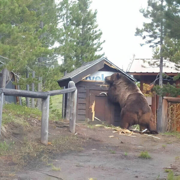 Вот это размерчик! (27 фото)