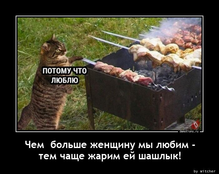 Демотиваторы в пятницу: "Чем больше женщину мы любим, тем чаще жарим ей шашлык" (12 фото)