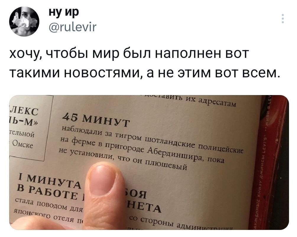 Прикольные твиты про новости, про красивый свитер, про сухарики и многое другое (20 фото)