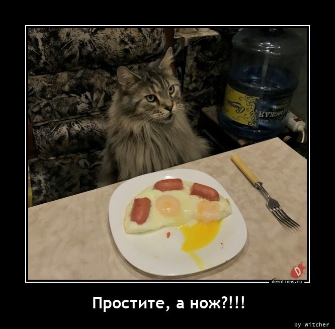Свежая порция демотиваторов: "Простите, а нож?.." (15 фото)