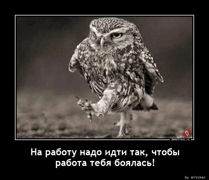 На работу надо идти так, чтобы она тебя боялась! (15 фото)
