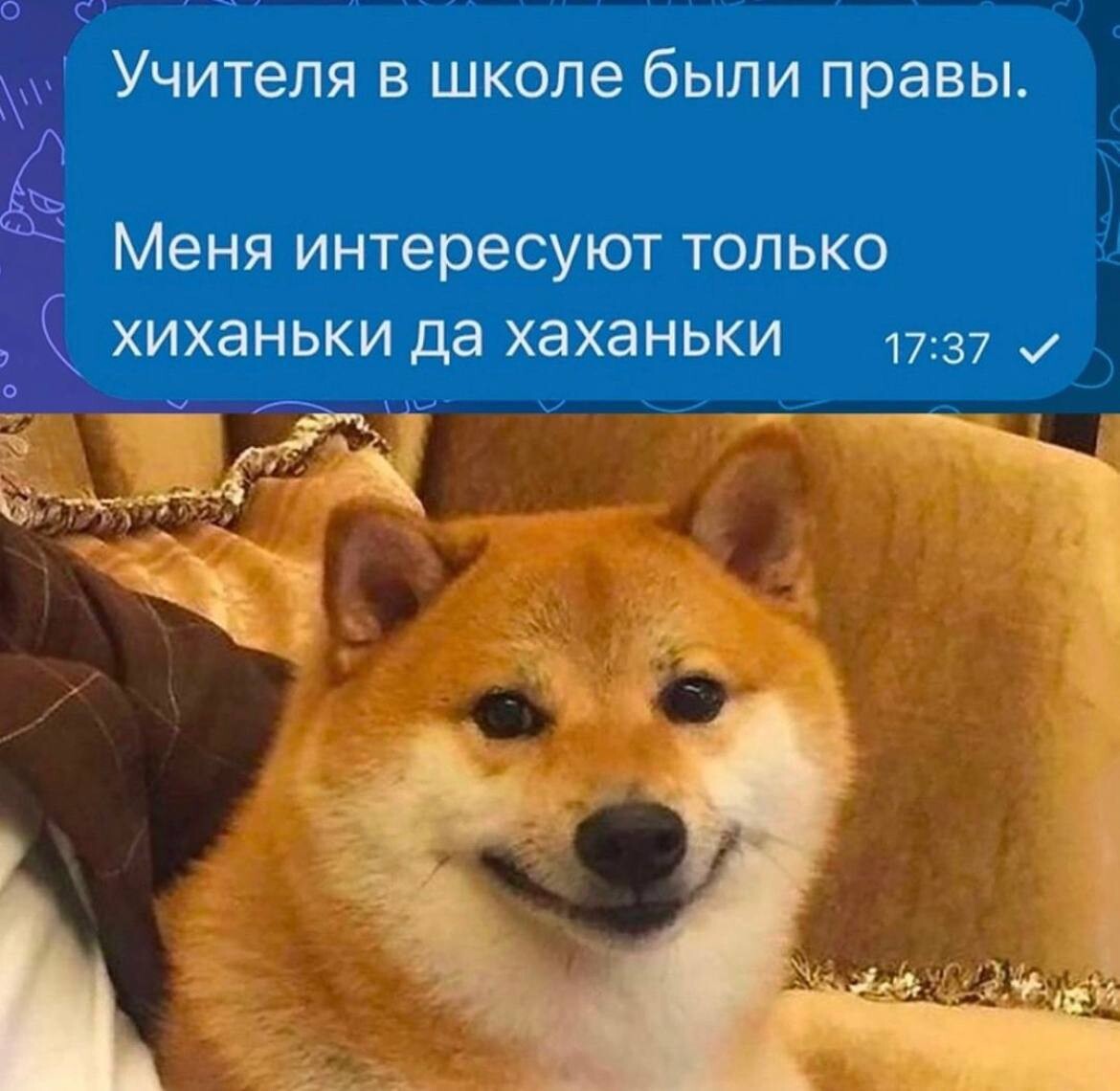 Прикольные комментарии: "Учителя в школе были правы…" (20 фото)