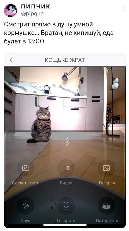 Прикольные твиты про продуктивность, чтение в дороге, сложные фамилии, выбор и многое другое (21 фото)