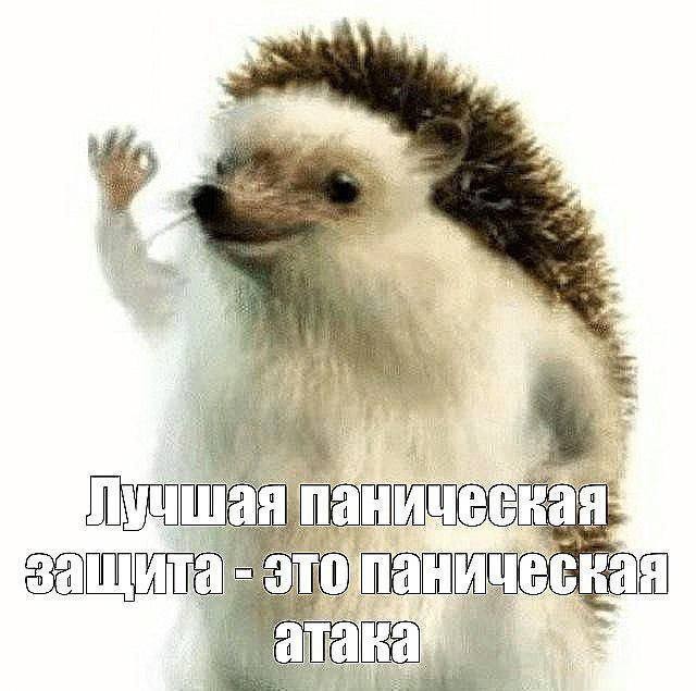 Мемы про новую породу курочек, дедушку на фотосессии, машину с кондиционером, весну и многое другое (28 фото)