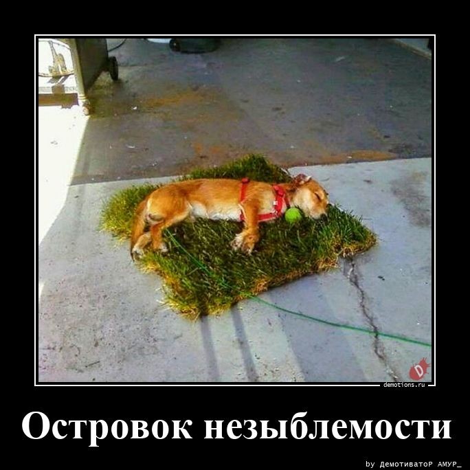 Демотиваторы – приколы: "Островок незыблемости" (14 фото)